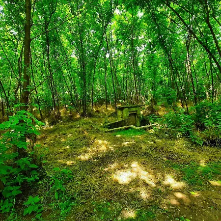 Domacinstvo La Vie Na Selu 3*