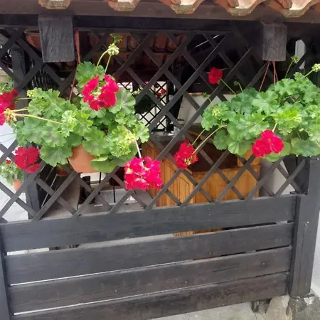 Domacinstvo La Vie Na Selu 3*