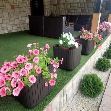 Domacinstvo La Vie Na Selu Niska Banja