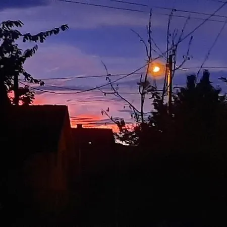 Domacinstvo La Vie Na Selu Penzion Niska Banja