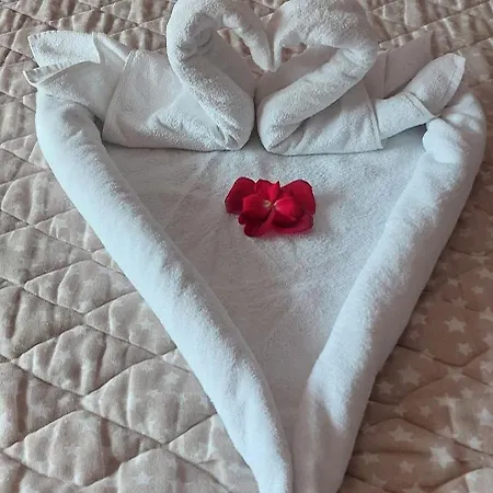 Domacinstvo La Vie Na Selu Penzion Niska Banja