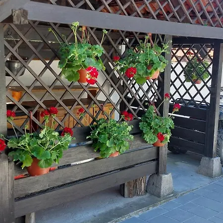 Penzion Domacinstvo La Vie Na Selu Niska Banja