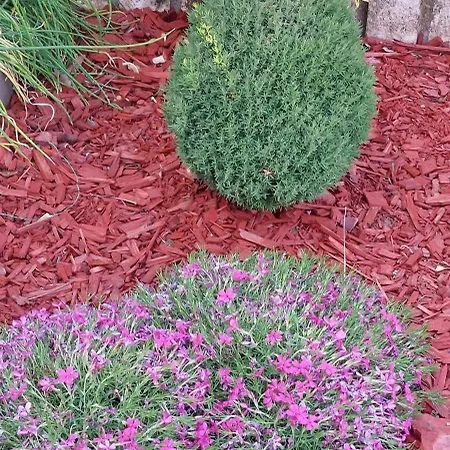 Domacinstvo La Vie Na Selu Penzion